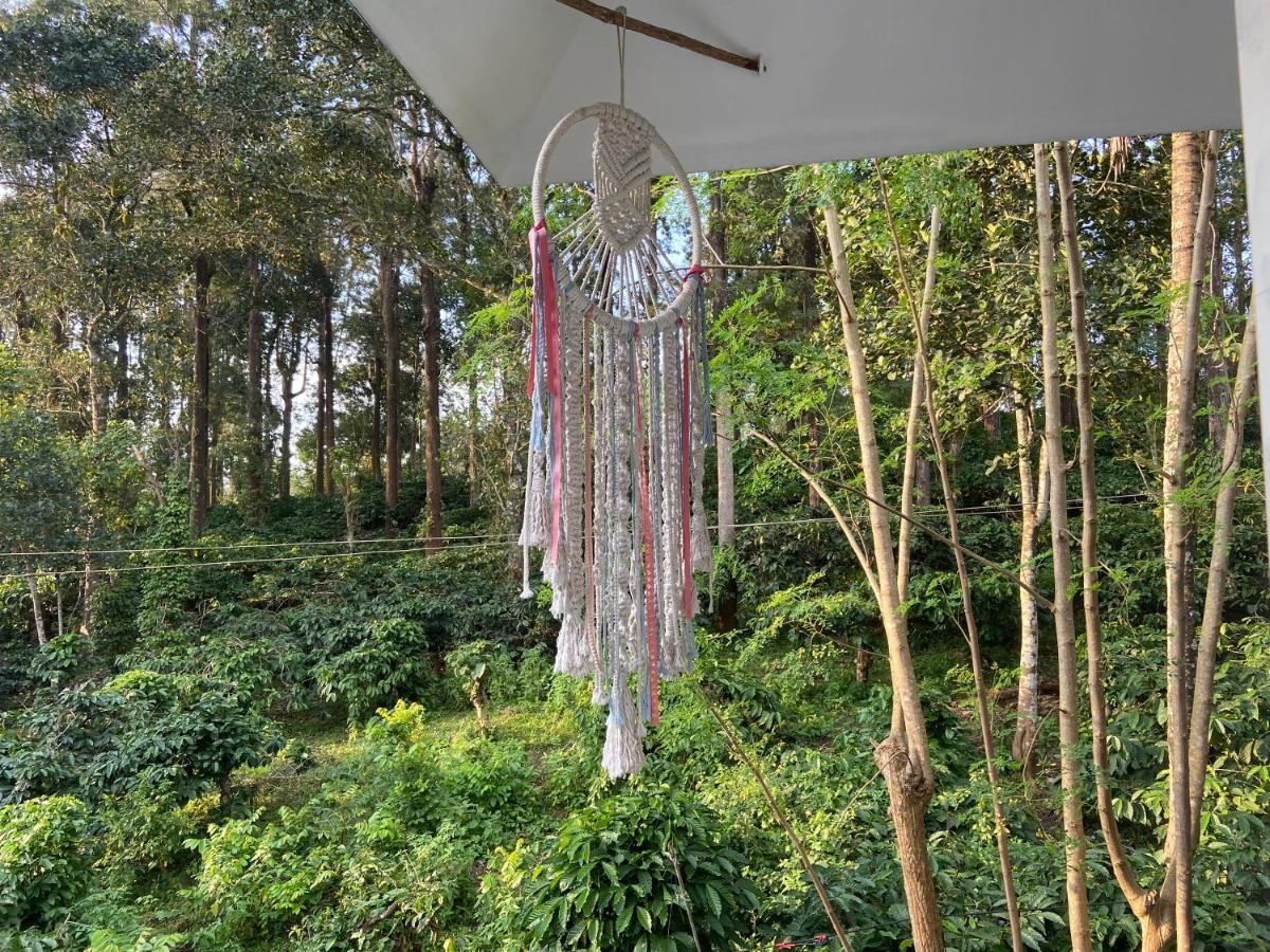 Ammus Homestay Thekkady Esterno foto