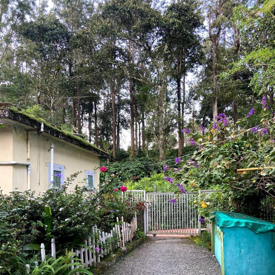 Ammus Homestay Thekkady Esterno foto
